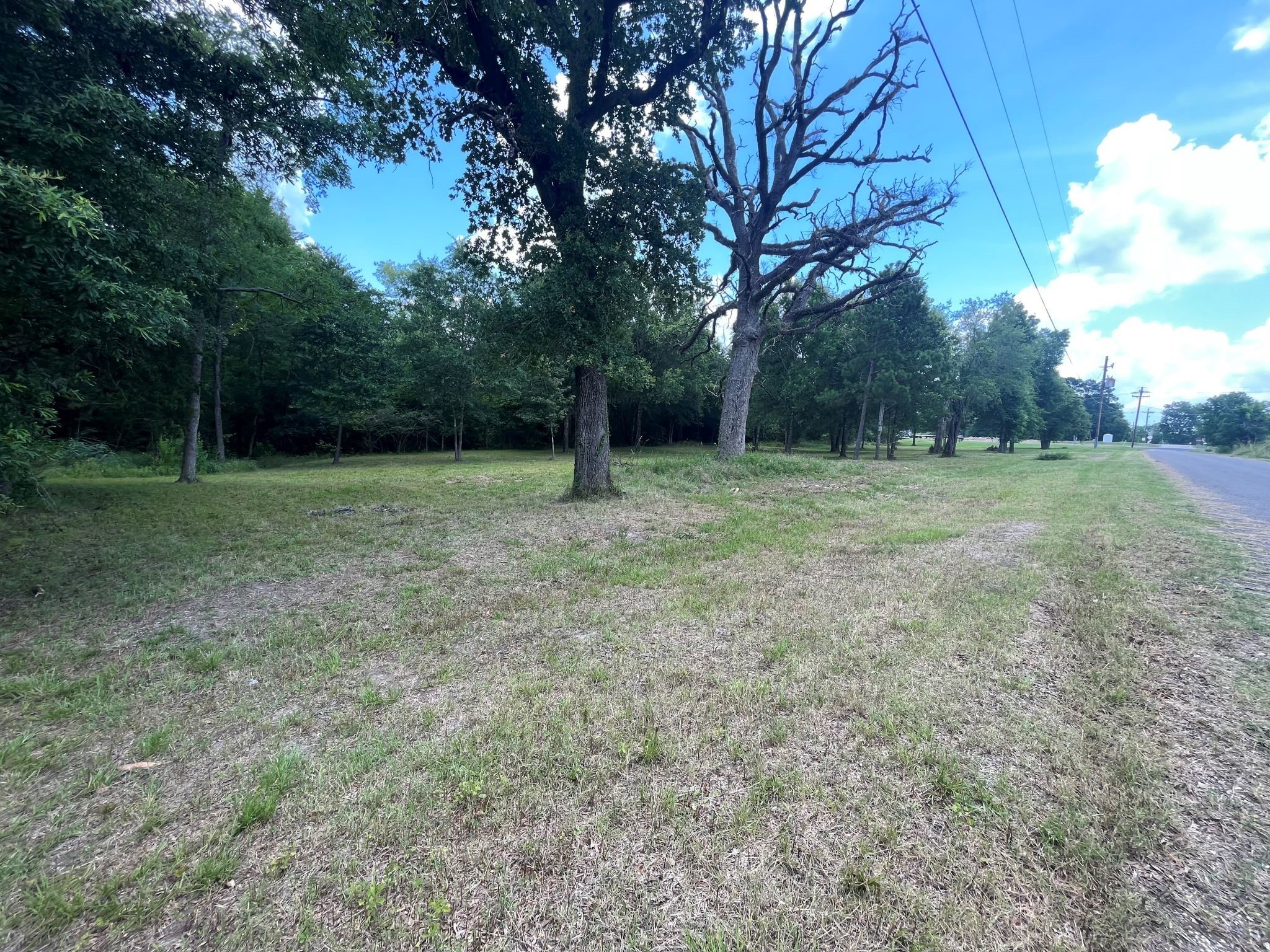 1130 South Robb Street Trinity, TX 75862 - Photo 10 of 12