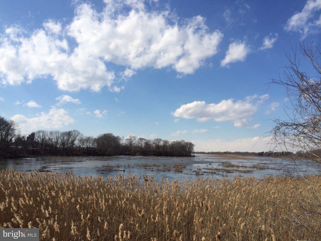 0 Hawks Bridge Road Salem, NJ 08079 - Photo 2 of 3