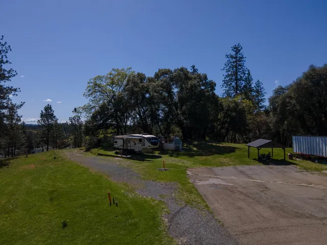 a view of a park with large trees