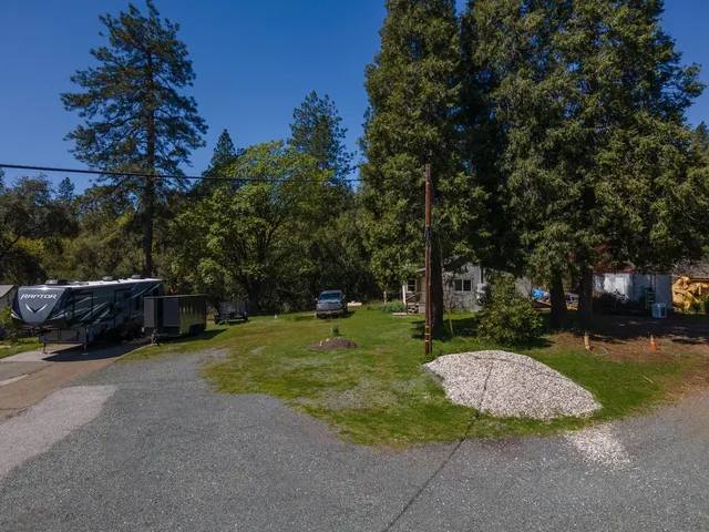 a view of a park with large trees