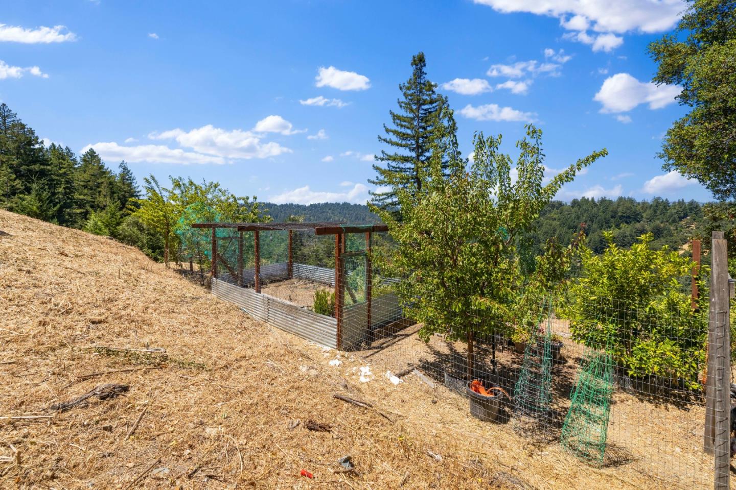 24475 Mountain Charlie Road Los Gatos, CA 95033 - Photo 44 of 69