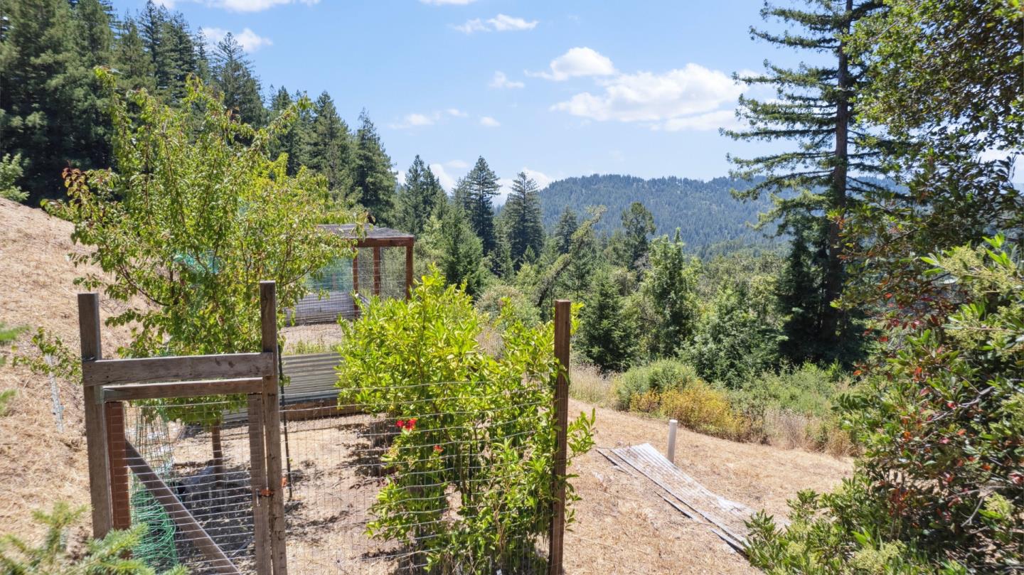 24475 Mountain Charlie Road Los Gatos, CA 95033 - Photo 45 of 69 a view of a back yard