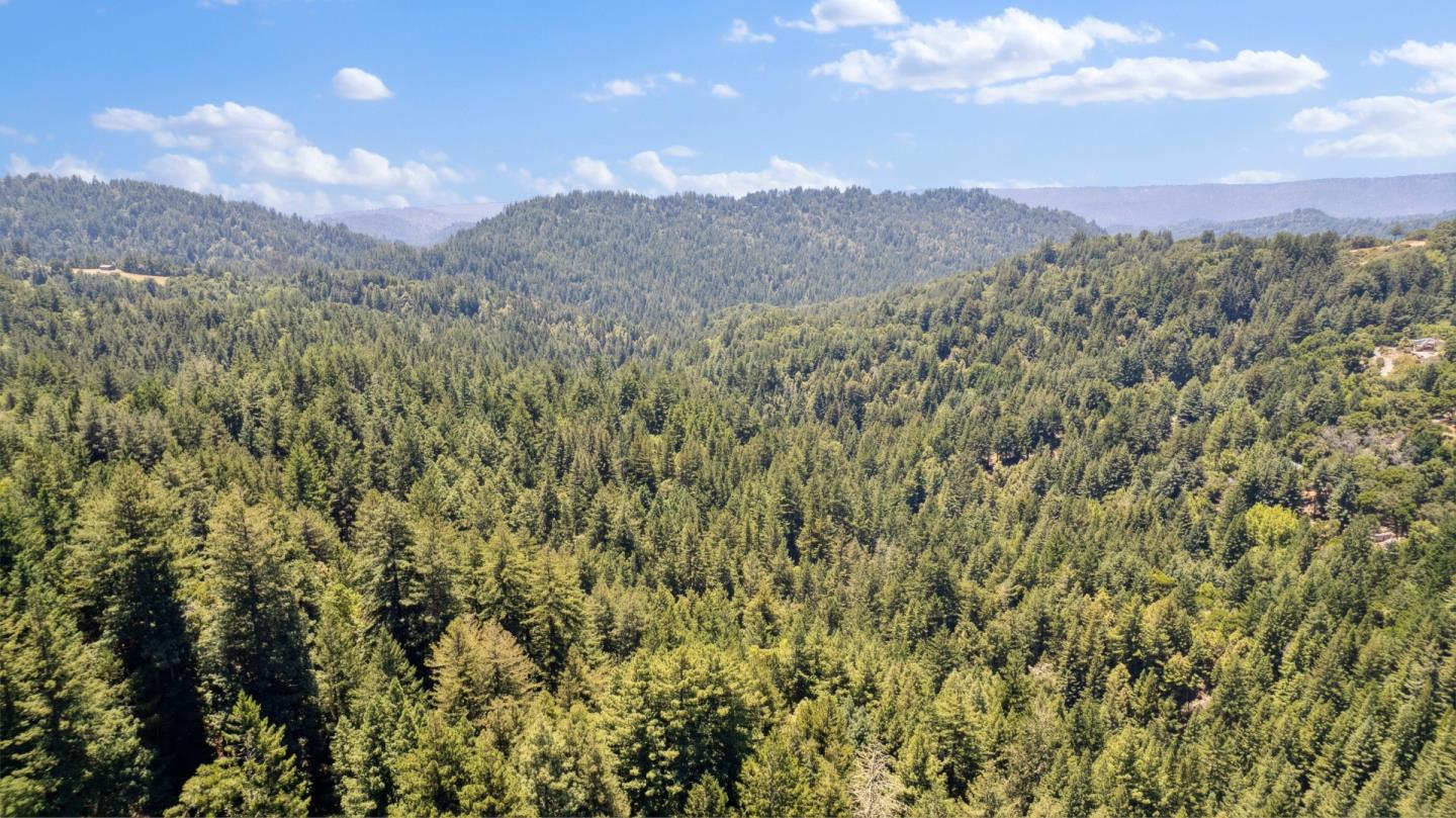 24475 Mountain Charlie Road Los Gatos, CA 95033 - Photo 51 of 69