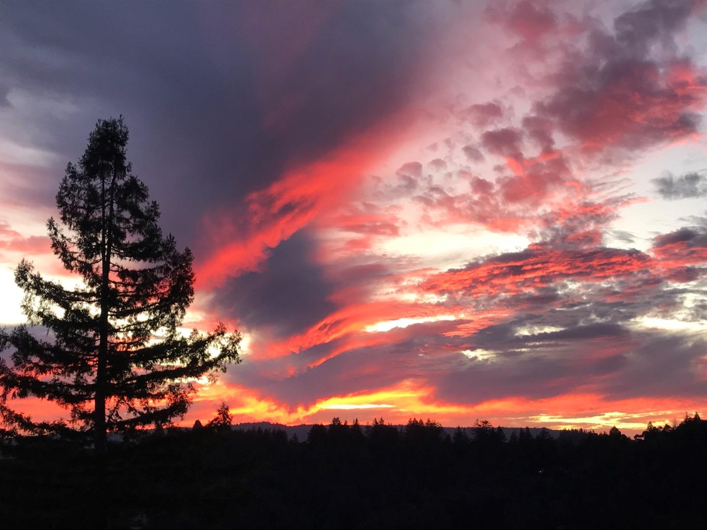 24475 Mountain Charlie Road Los Gatos, CA 95033 - Photo 64 of 69