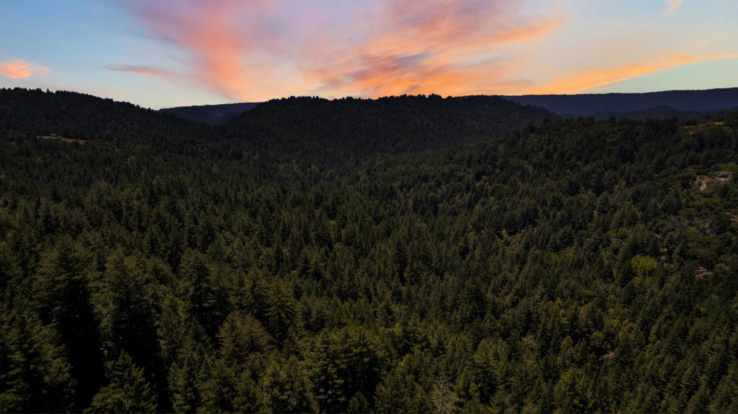 24475 Mountain Charlie Road Los Gatos, CA 95033 - Photo 65 of 69 a view of a lush green hillside and a mountain