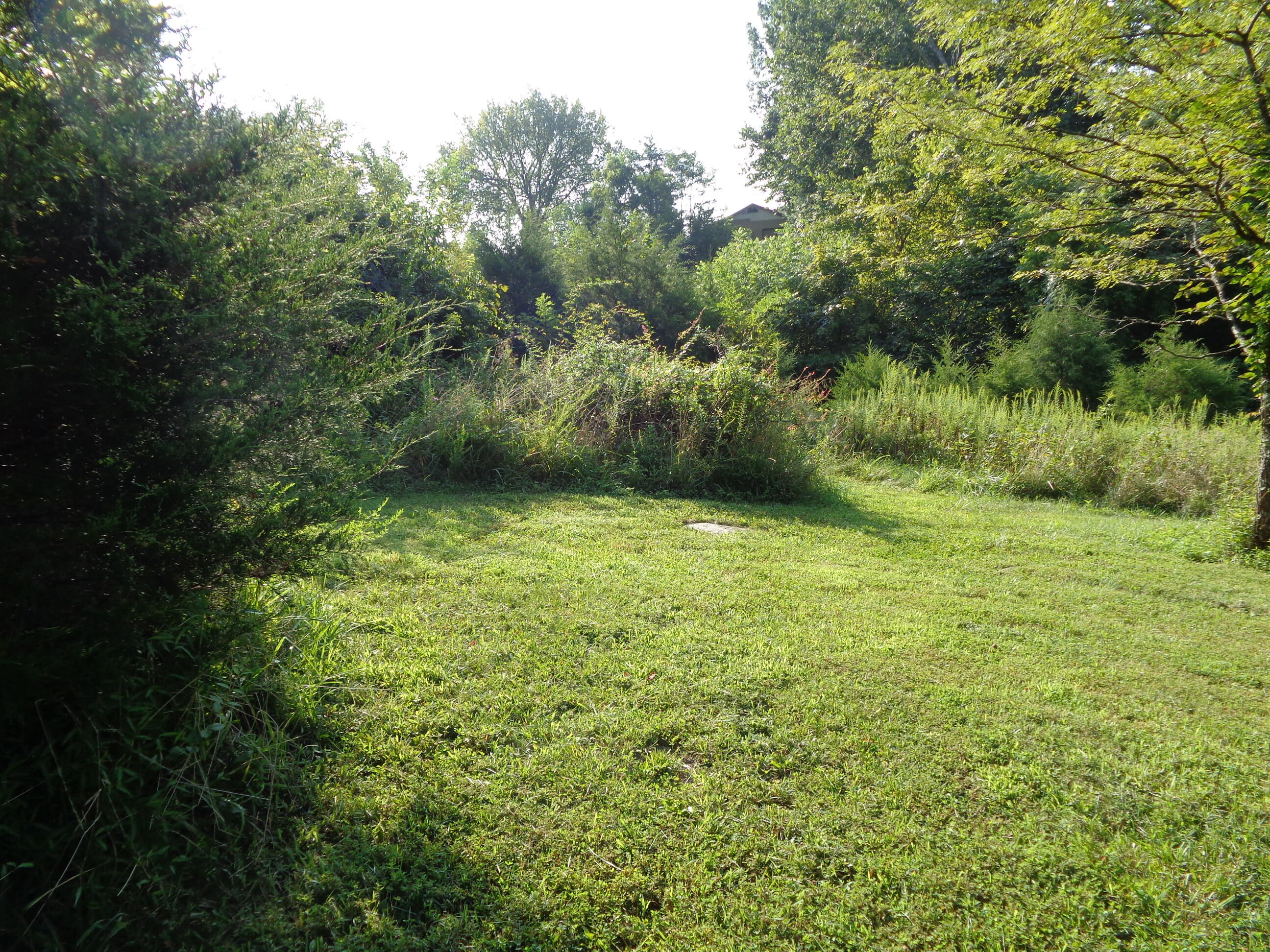 1409 Corinth Road Lawrenceburg, KY 40342 - Photo 32 of 38 DSC00785
