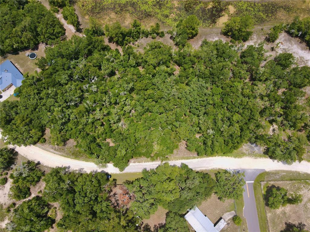 34237 Shaffer Drive Webster, FL 33597 - Photo 13 of 18