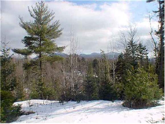---------- Old County Road Franconia, NH 03580 - Photo 1 of 1 Gallery Image 1
