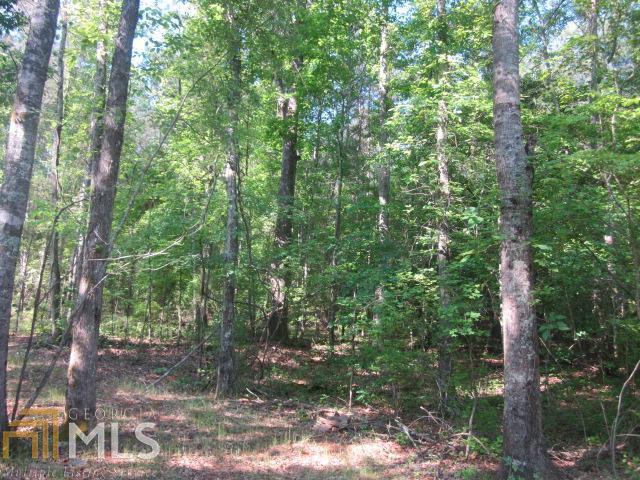 0 Bertus Hunter Road, Unit 1 6 65AC Senoia, GA 30276 - Photo 1 of 1 Gallery Image 1