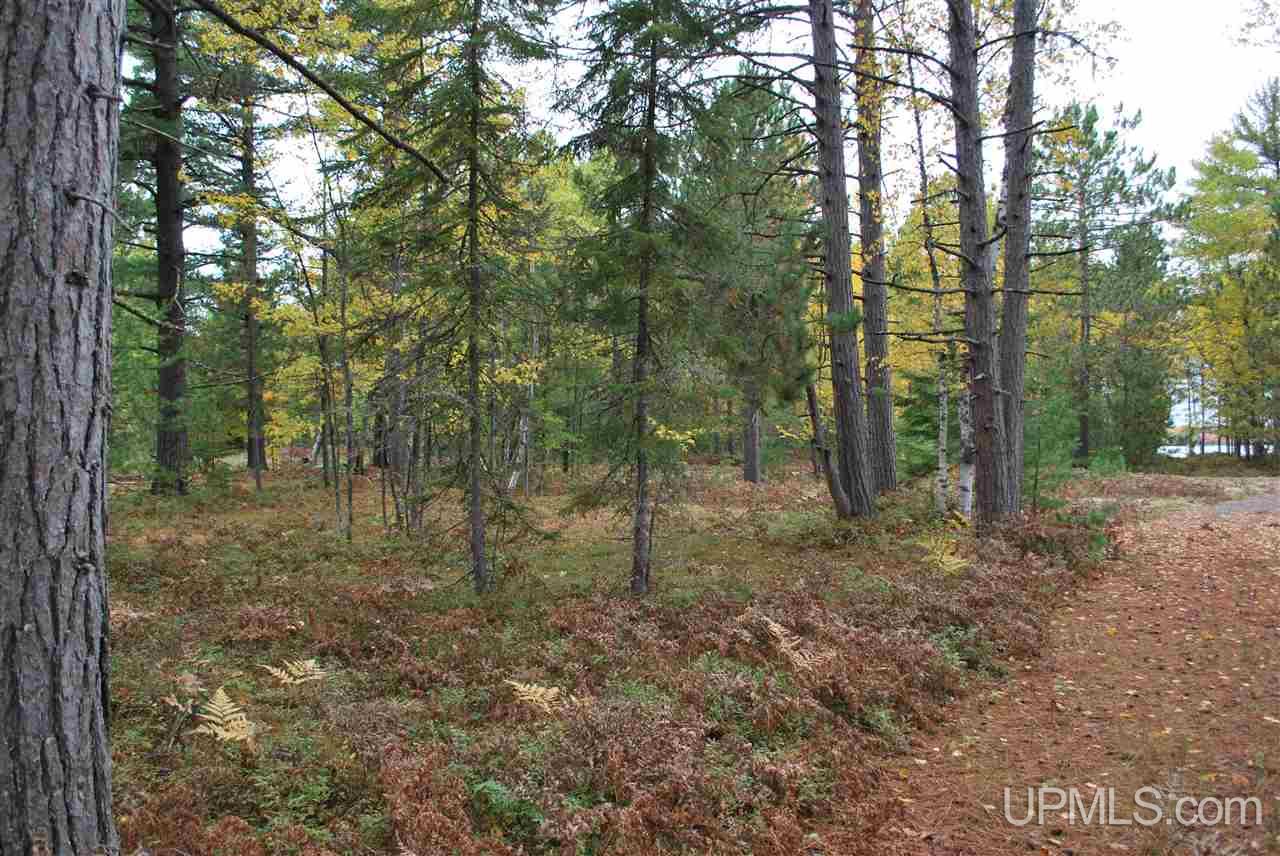 Tbd Little Rice Lake Rd (lot 18), Unit 18 Lake Linden, MI 49945 - Photo 7 of 34