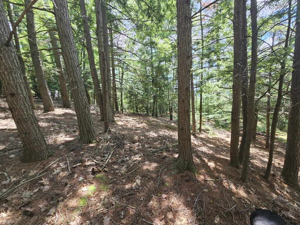 Multiple Quaker Ridge Road Leeds, ME 04263 - Photo 15 of 79 20260624_134804