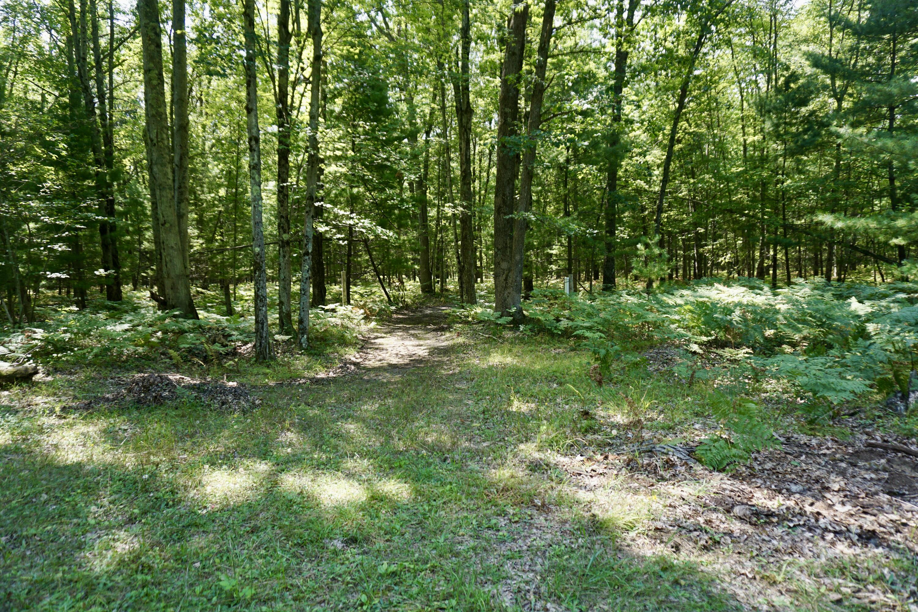 3077 South Tyndall Road Branch, MI 49402 - Photo 11 of 12 DSC06197