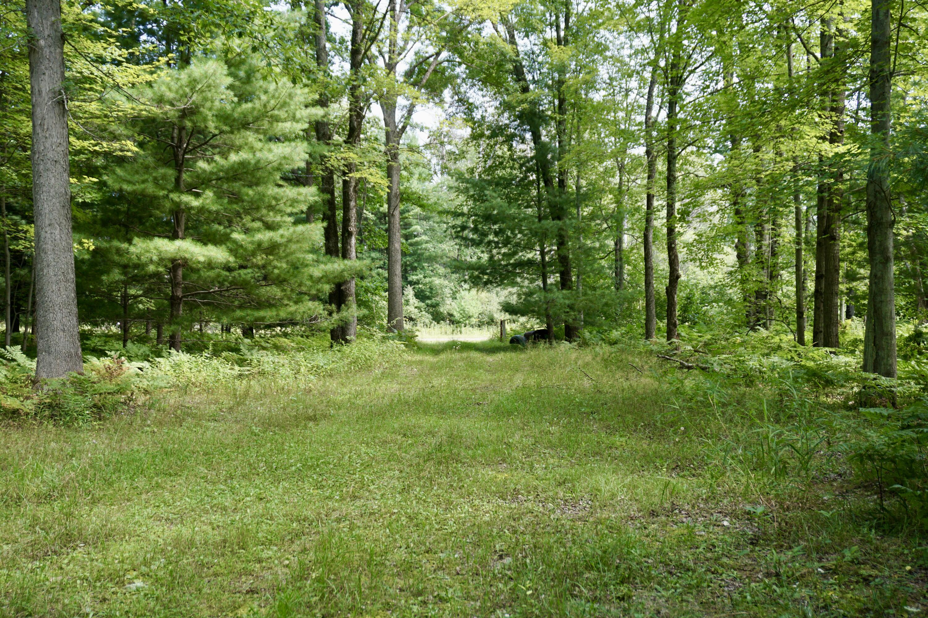 3077 South Tyndall Road Branch, MI 49402 - Photo 2 of 12 DSC06215