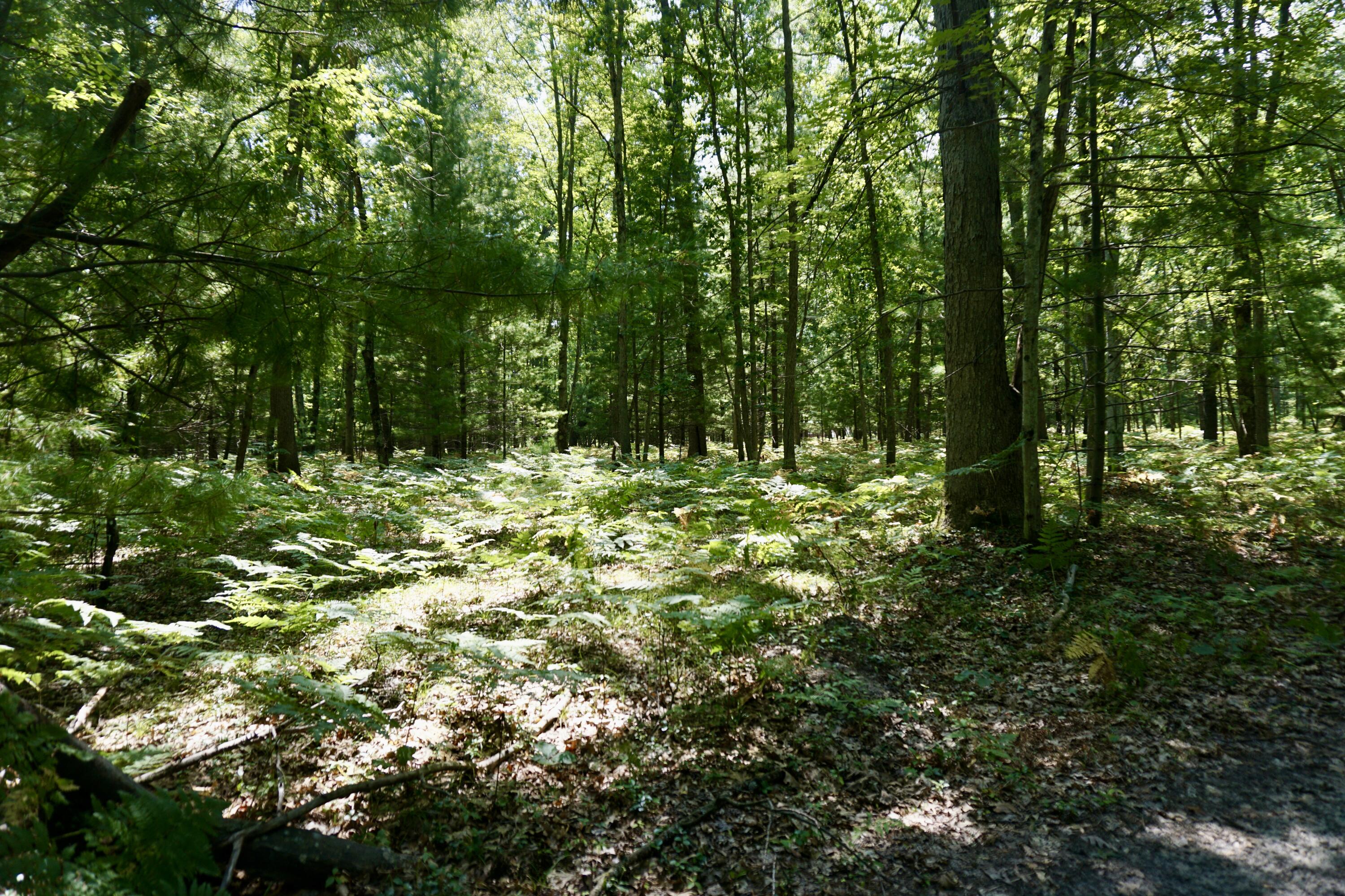 3077 South Tyndall Road Branch, MI 49402 - Photo 9 of 12 DSC06199