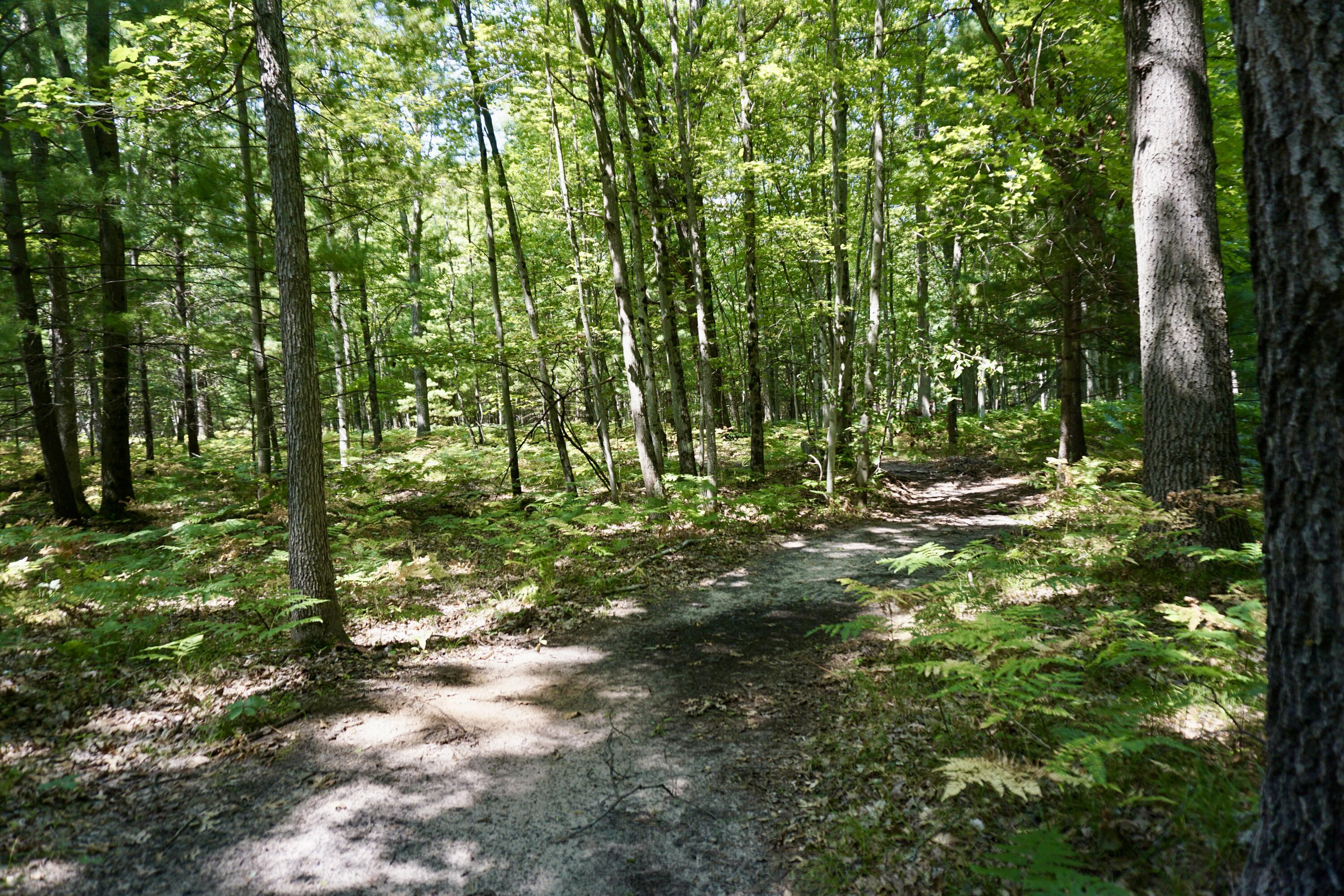 3077 South Tyndall Road Branch, MI 49402 - Photo 10 of 12 DSC06200