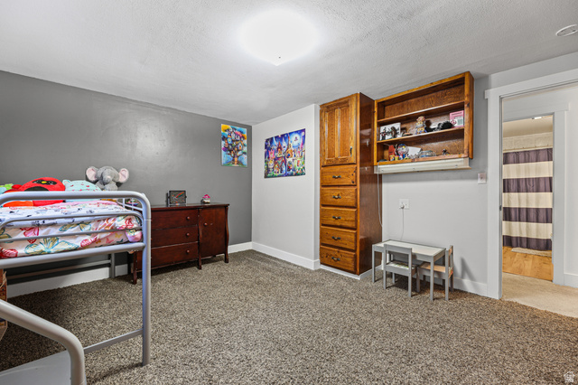 822 Pinewood Circle Price, UT 84501 - Photo 23 of 49 Carpeted room with built-in wood cabinetry and shelving, featuring a neutral gray wall color
