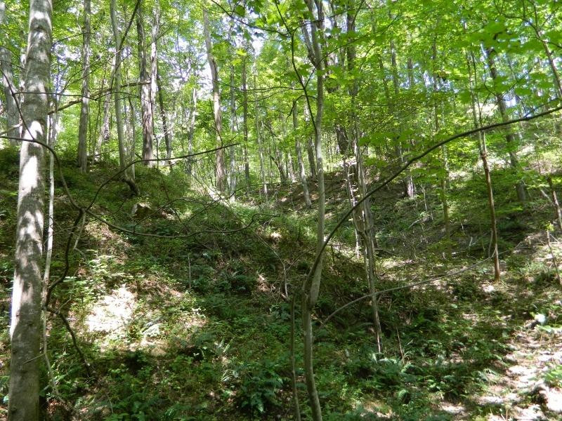 1300 Hyden Road Booneville, KY 41314 - Photo 12 of 27 Photo 12
