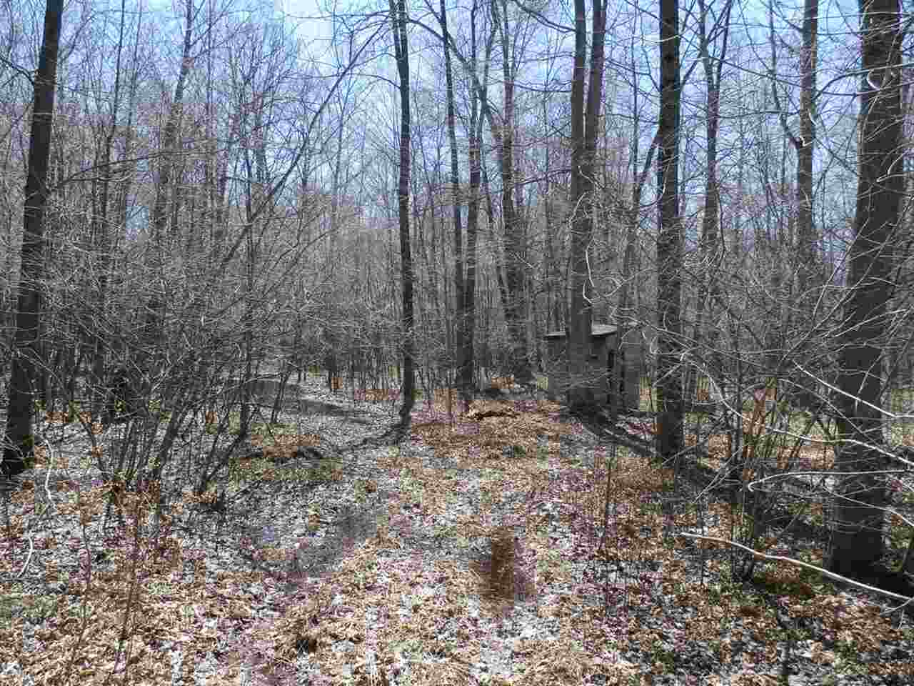 11396 Seymour Road Burt, MI 48417 - Photo 32 of 40 31377233-32.JPG
