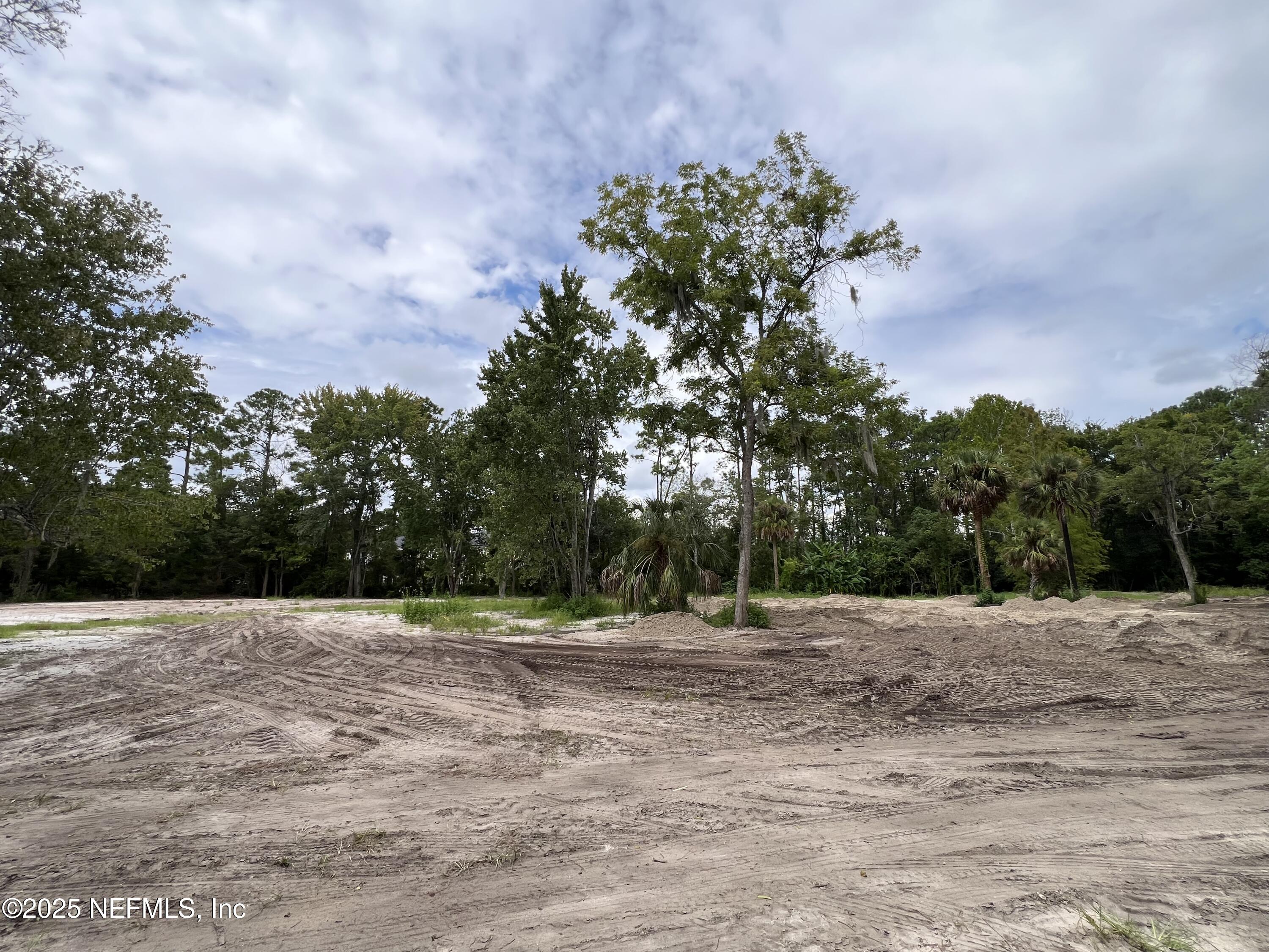 921 Cole Road Jacksonville, FL 32218 - Photo 16 of 21 a view of a ground with trees
