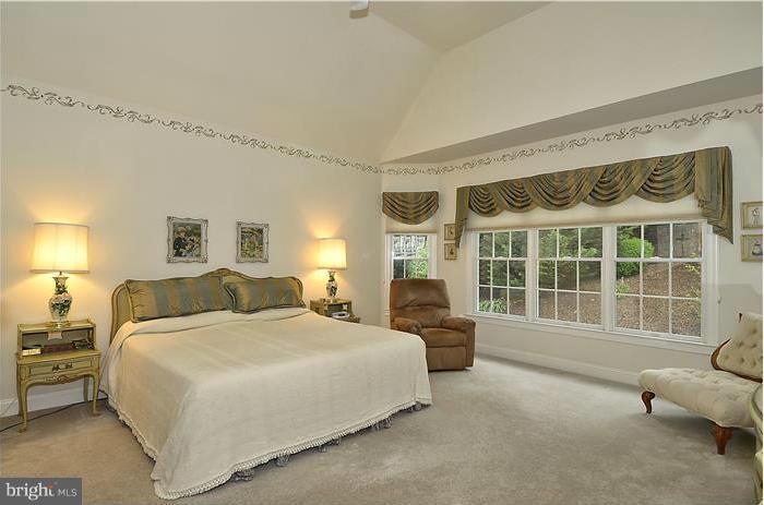 162 Colony Crossing Edgewater, MD 21037 - Photo 18 of 30 Bedroom (Master)