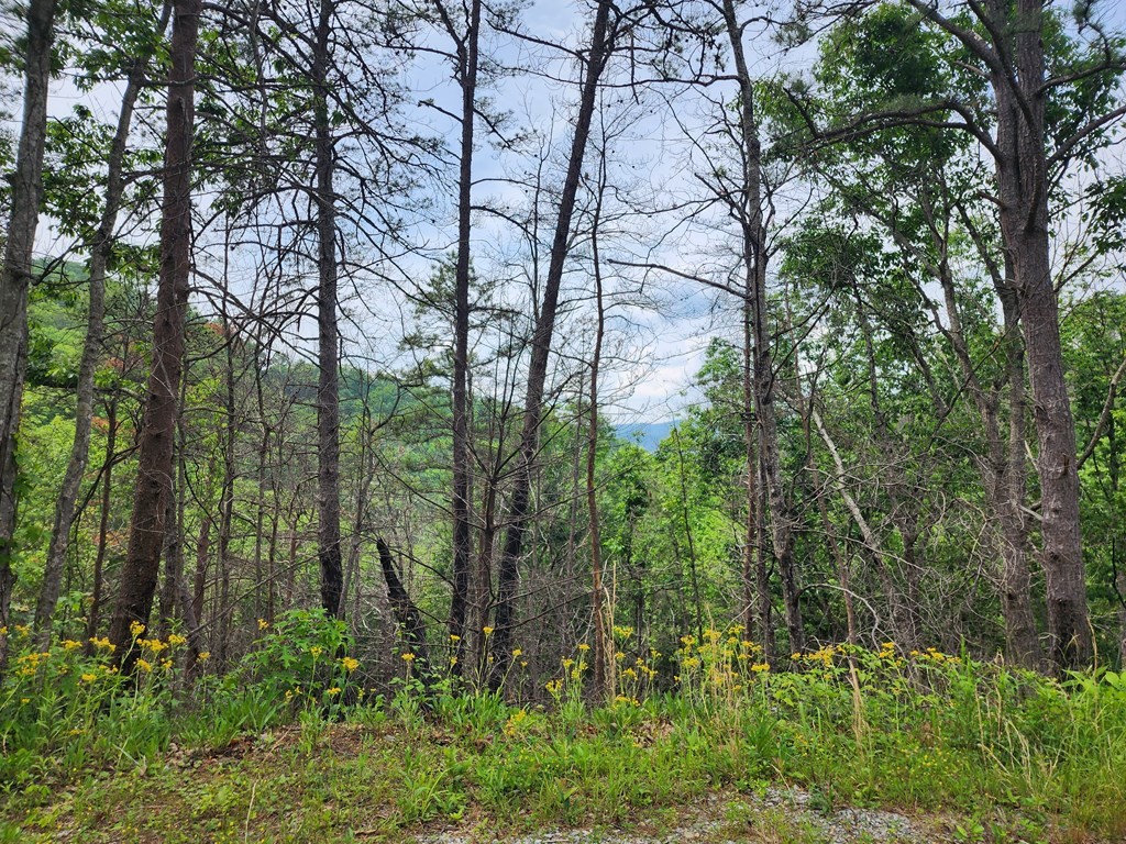 20 Sugar Maple Loop Road Sevierville, TN 37862 - Photo 3 of 16