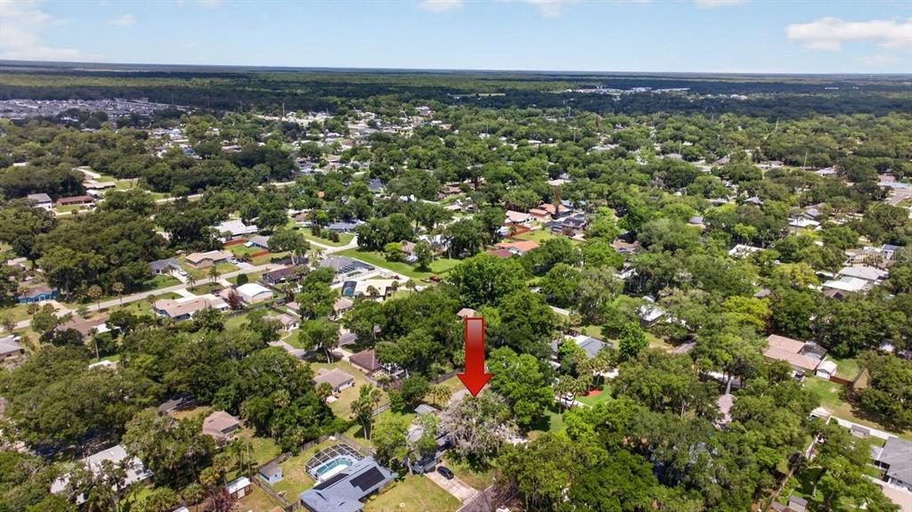 2012 Mango Tree Drive Edgewater, FL 32141 - Photo 33 of 36 an aerial view of residential houses with outdoor space and trees