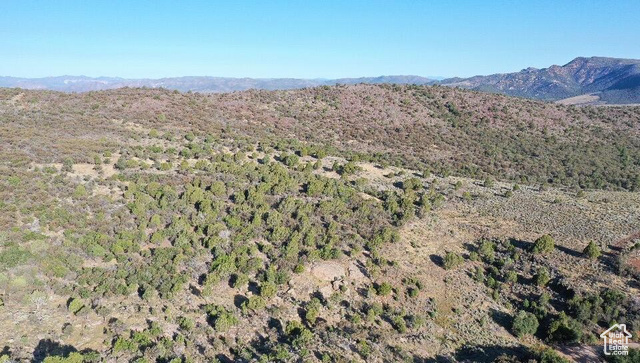 515 South Oakridge Road Pine Valley, UT 84781 - Photo 16 of 23 View of mountain backdrop