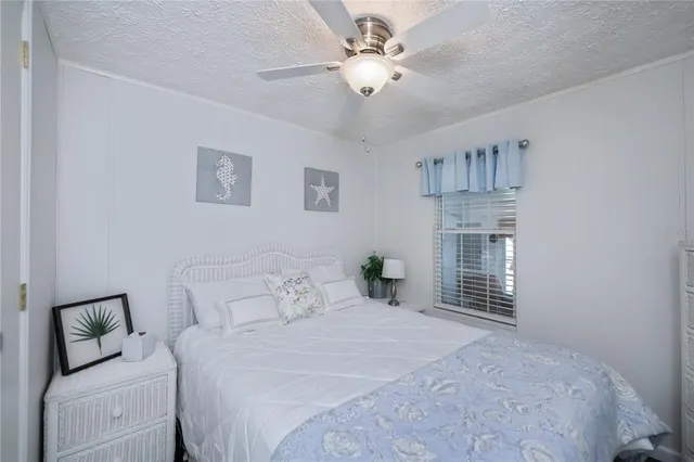 a couple of flower plants in front of house