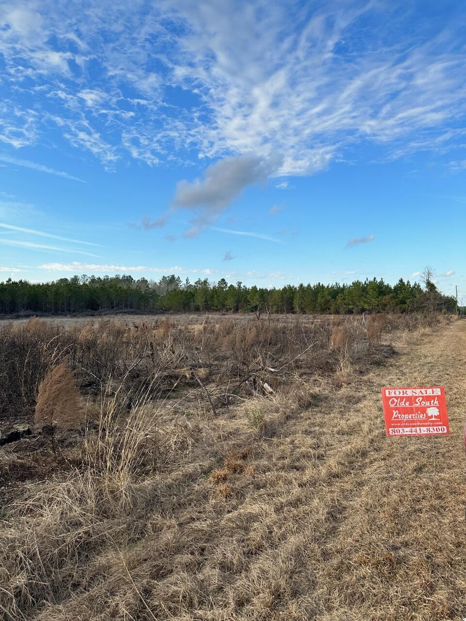 A Wagontong Road Wagener, SC 29164 - Photo 1 of 1 IMG_0547