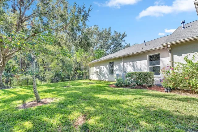 a view of a house with backyard and a tree