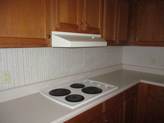 412 Odell Road, Unit LIBERTY Liberty, SC 29657 - Photo 6 of 16