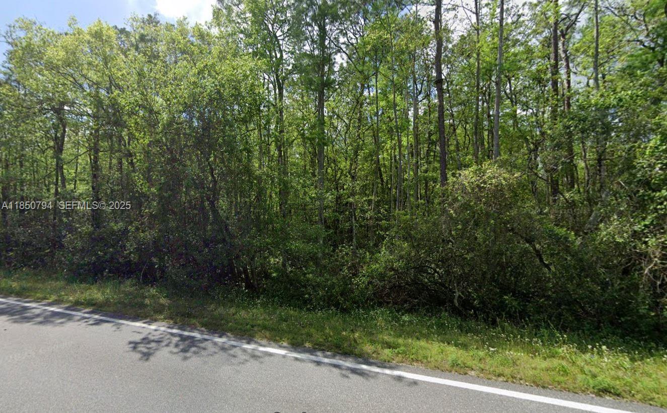 0 Deen Still Rd E Polk City, FL 33868 - Photo 2 of 2