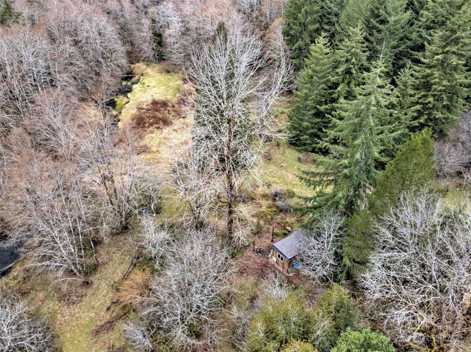 1561 West Ford Road Matlock, WA 98560 - Photo 11 of 14 Gallery Image 11