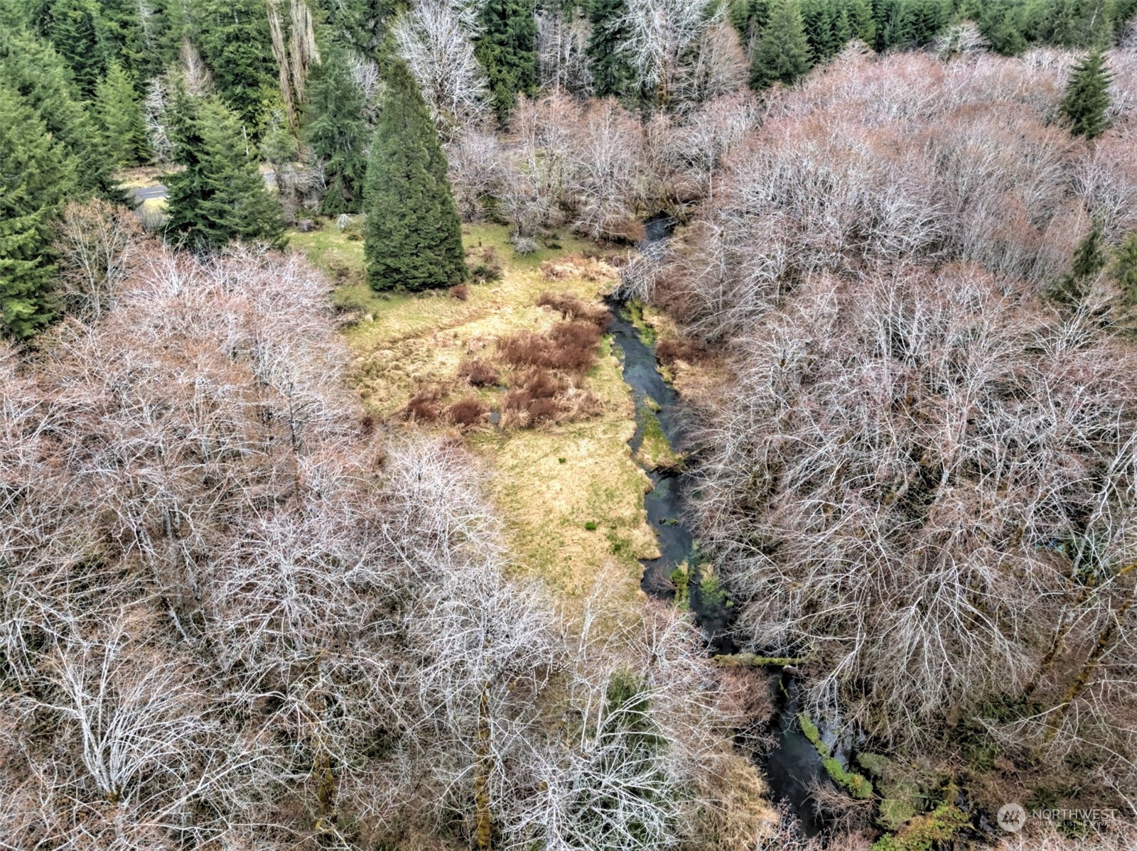 1561 West Ford Road Matlock, WA 98560 - Photo 13 of 14 Gallery Image 13