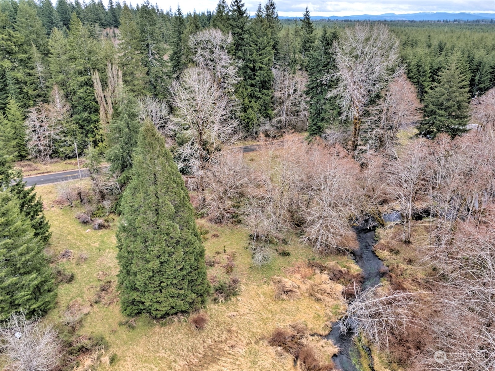 1561 West Ford Road Matlock, WA 98560 - Photo 3 of 14 Gallery Image 3