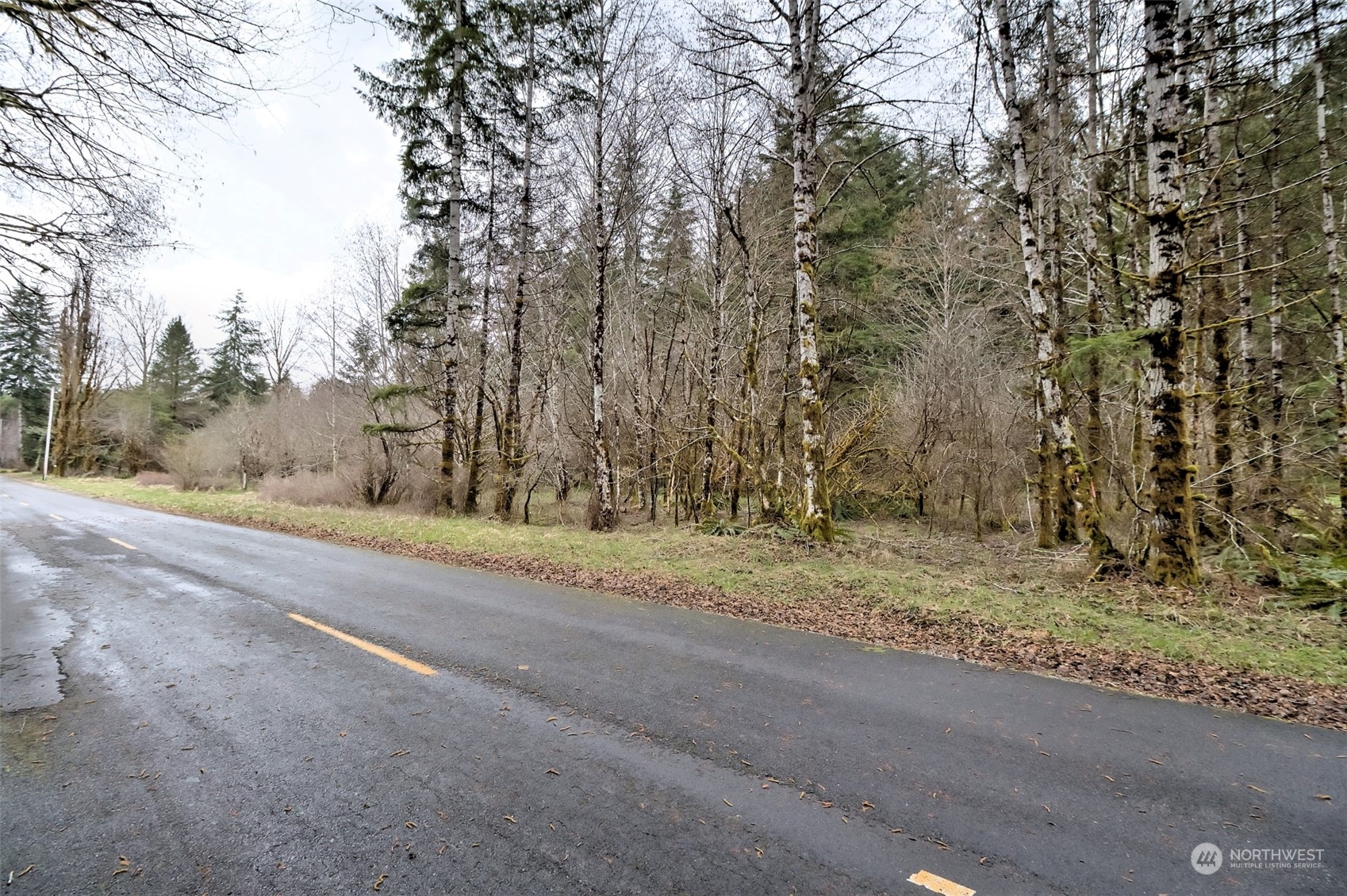 1561 West Ford Road Matlock, WA 98560 - Photo 6 of 14 Gallery Image 6