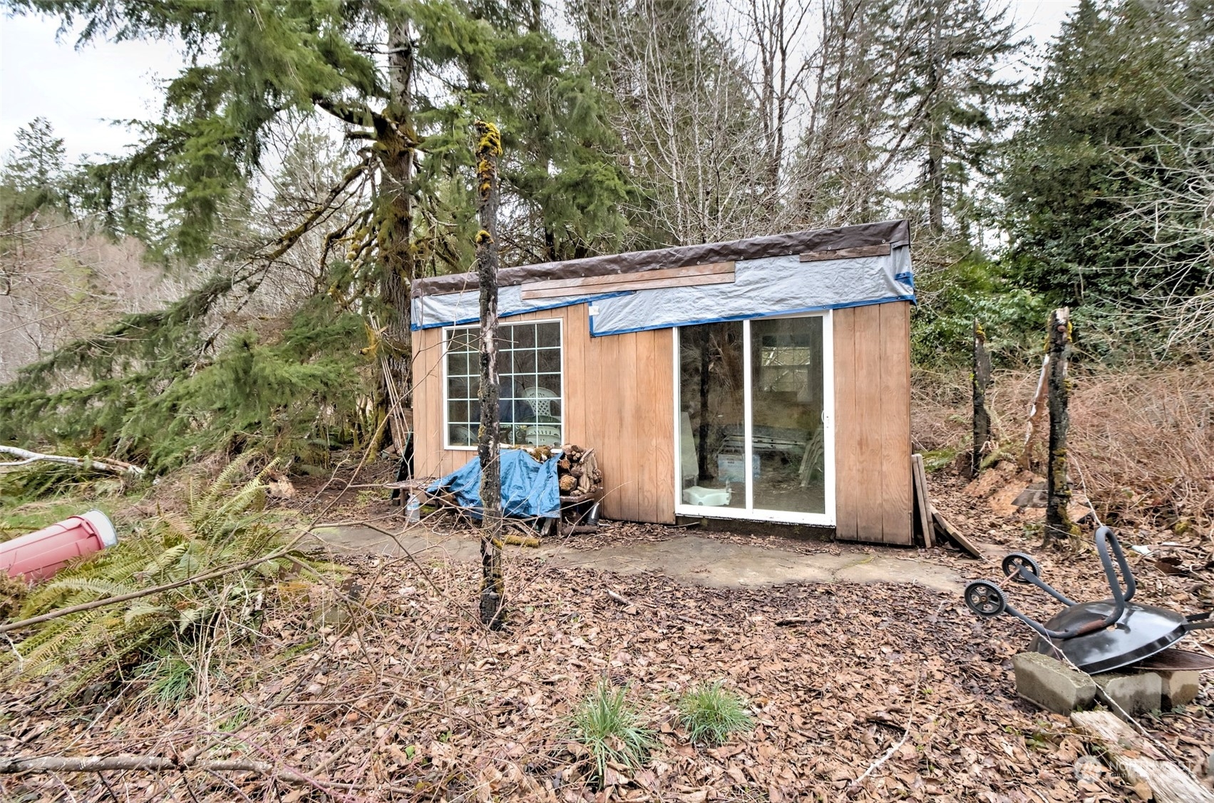 1561 West Ford Road Matlock, WA 98560 - Photo 9 of 14 Gallery Image 9