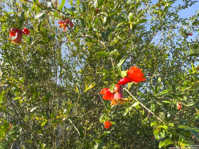 $83,357 | 418 North Cedar Street, Pearsall, TX 78061