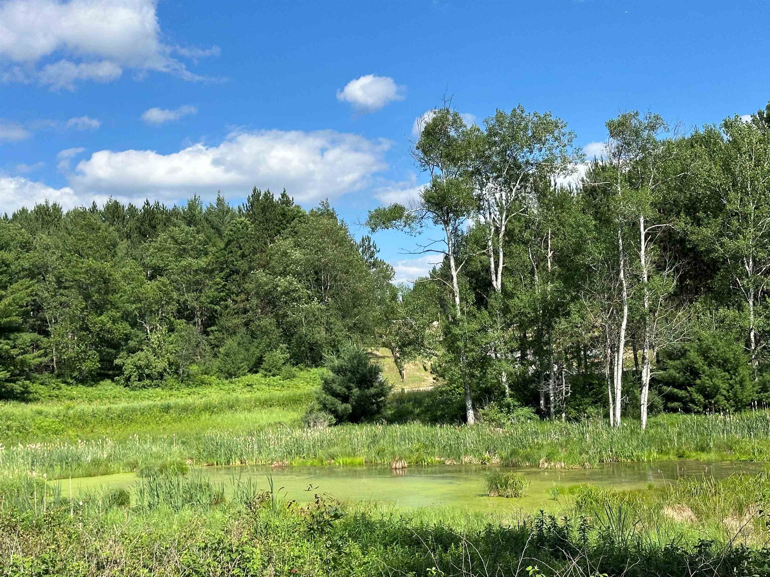 3383 Northwest Dockery Road Williamsburg, MI 49690 - Photo 13 of 16