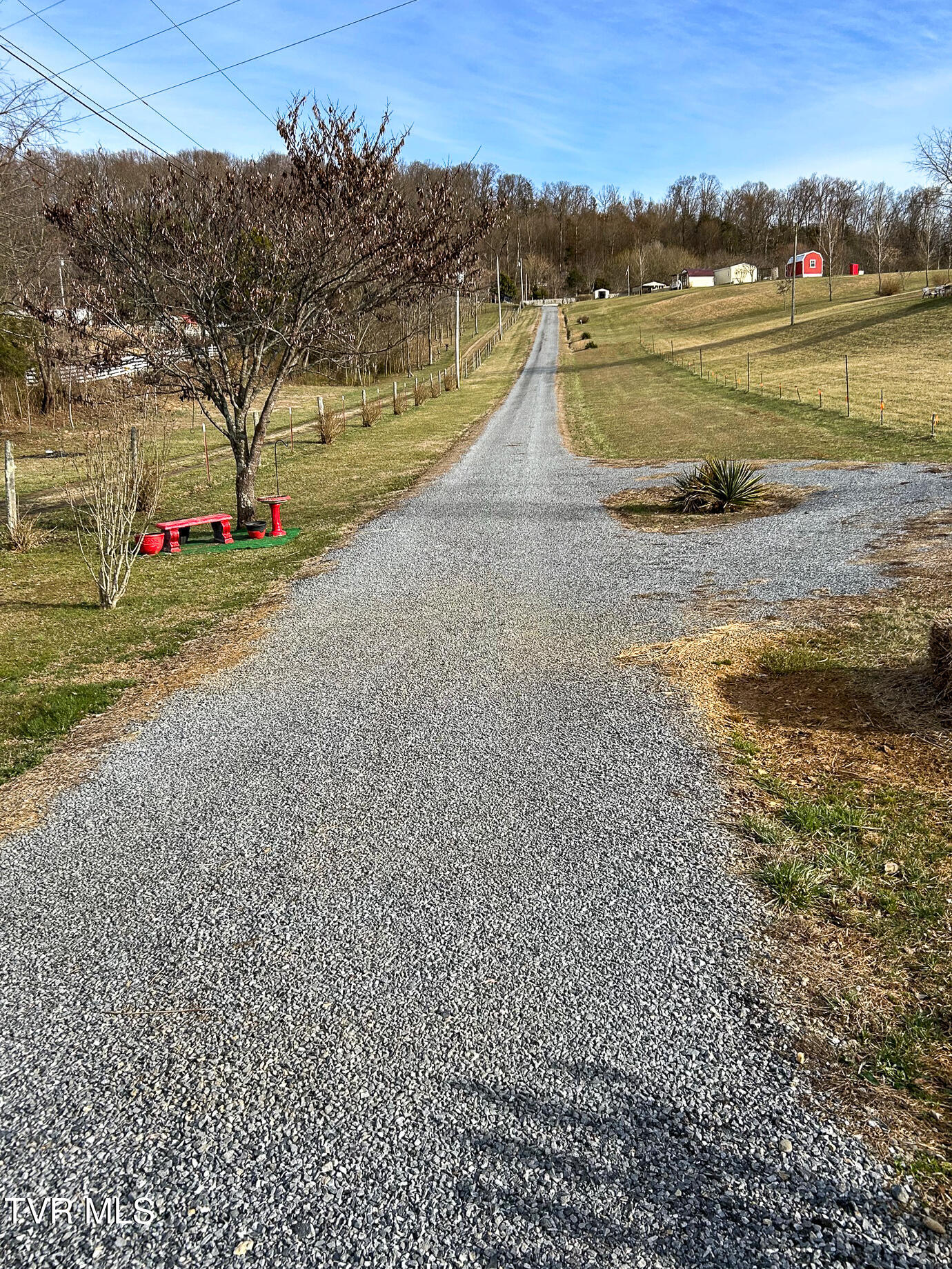 639 Bailey Bridge Road Limestone, TN 37681 - Photo 50 of 51 Nellie022426G (49)