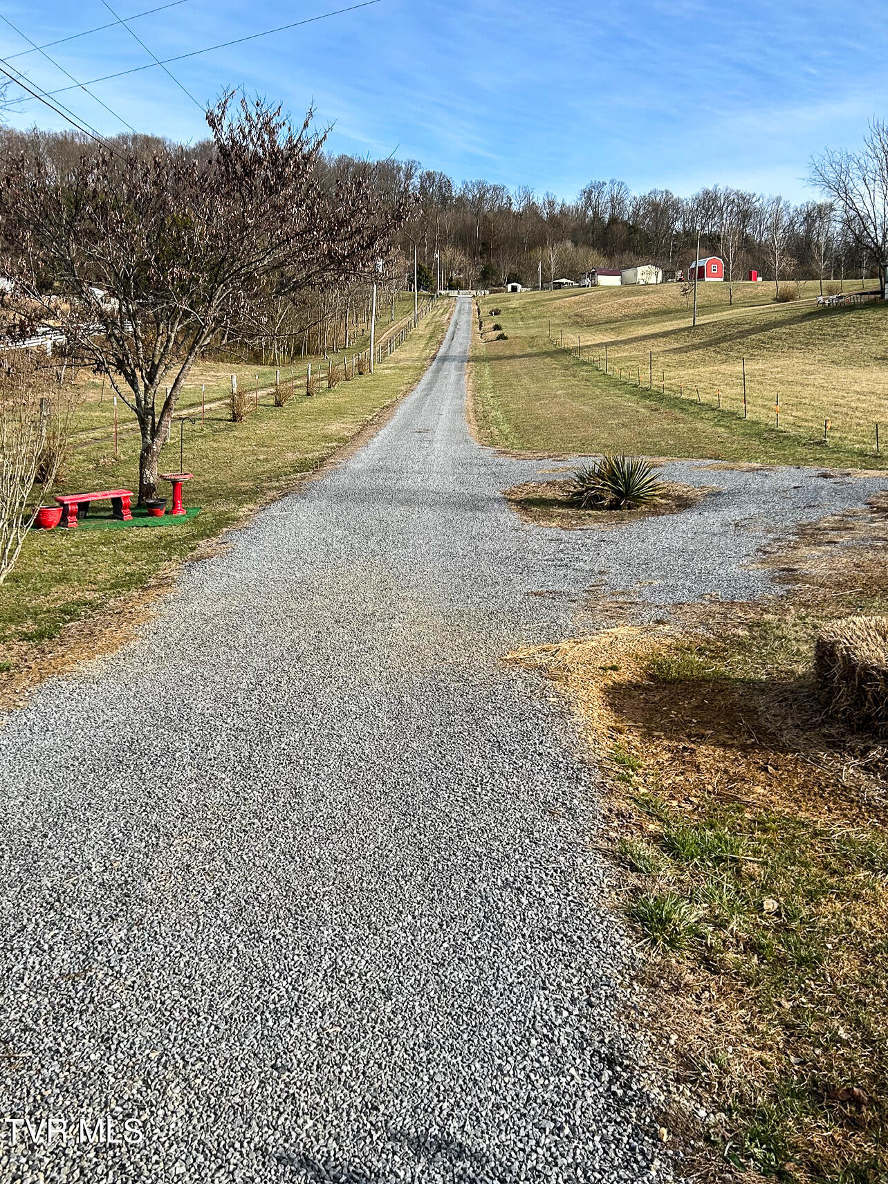 639 Bailey Bridge Road Limestone, TN 37681 - Photo 51 of 51 Nellie022426G (50)