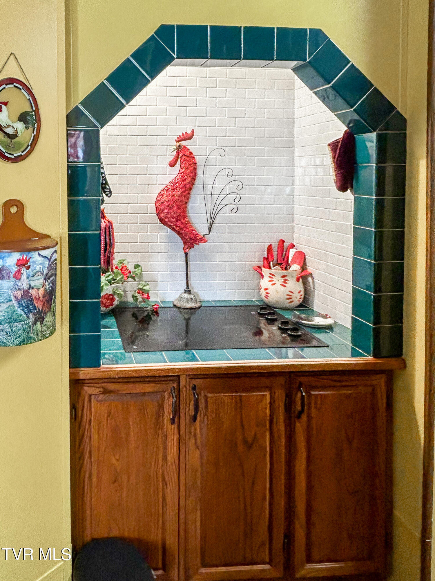 639 Bailey Bridge Road Limestone, TN 37681 - Photo 6 of 51 Nellie022426G (6)