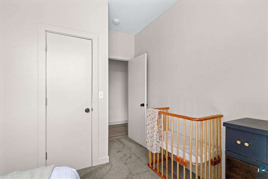1873 East Shilhon Road Duluth, MN 55804 - Photo 23 of 26 Carpeted flooring, white interior doors with dark hardware, and light-toned walls