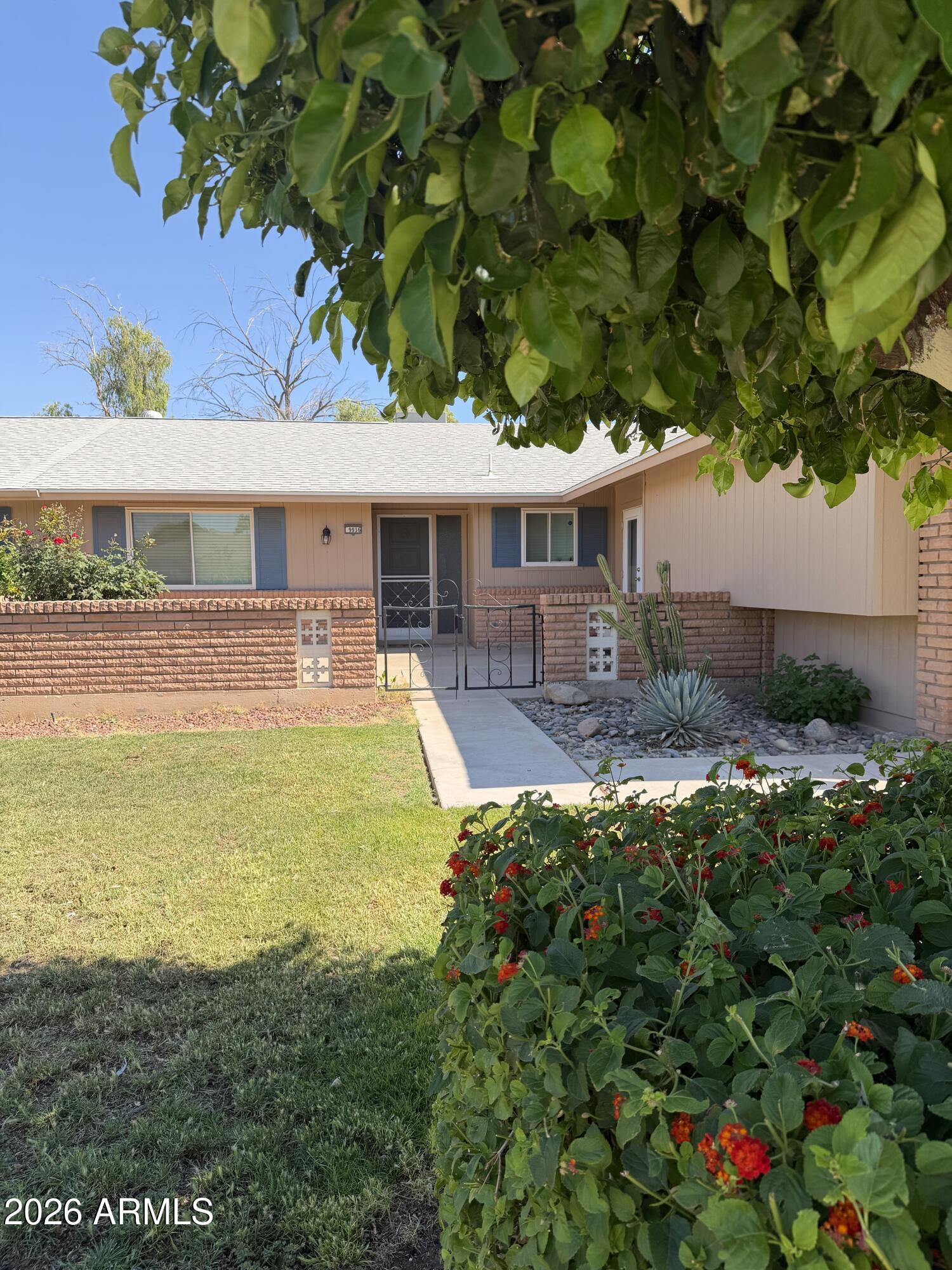 9936 West Mountain View Road Sun City, AZ 85351 - Photo 1 of 21 a view of a house with pool plants and large trees