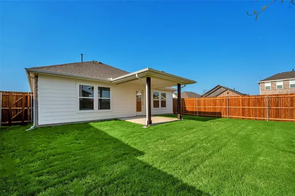 a view of a backyard with plants and large tree
