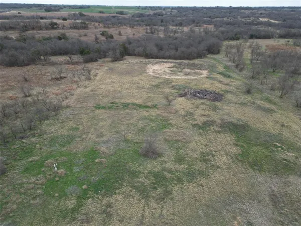 a view of a dry yard