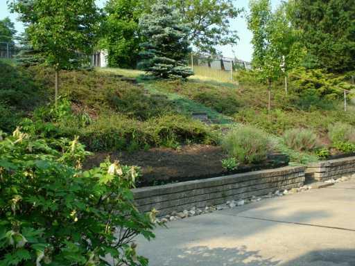 1106 Stanford Road Brighton Heights, PA 15212 - Photo 8 of 8 Yard/Garden.