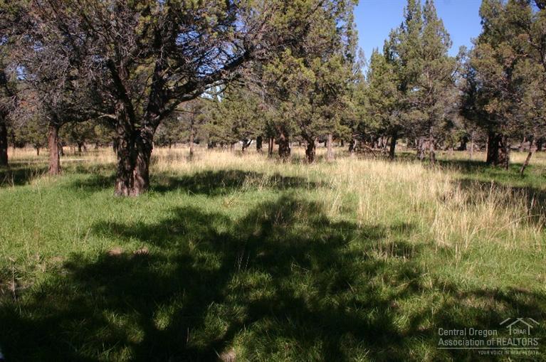 63488 Abbey Road Bend, OR 97701 - Photo 20 of 25 a view of lake with green space