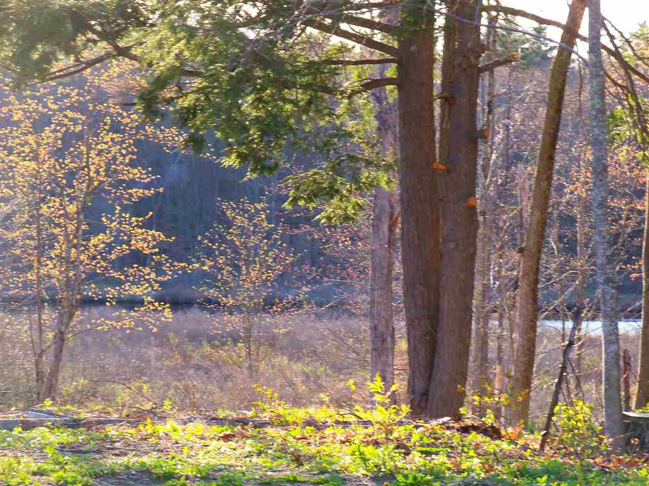 828 Berry River Road, Unit 52 Barrington, NH 03825 - Photo 2 of 17