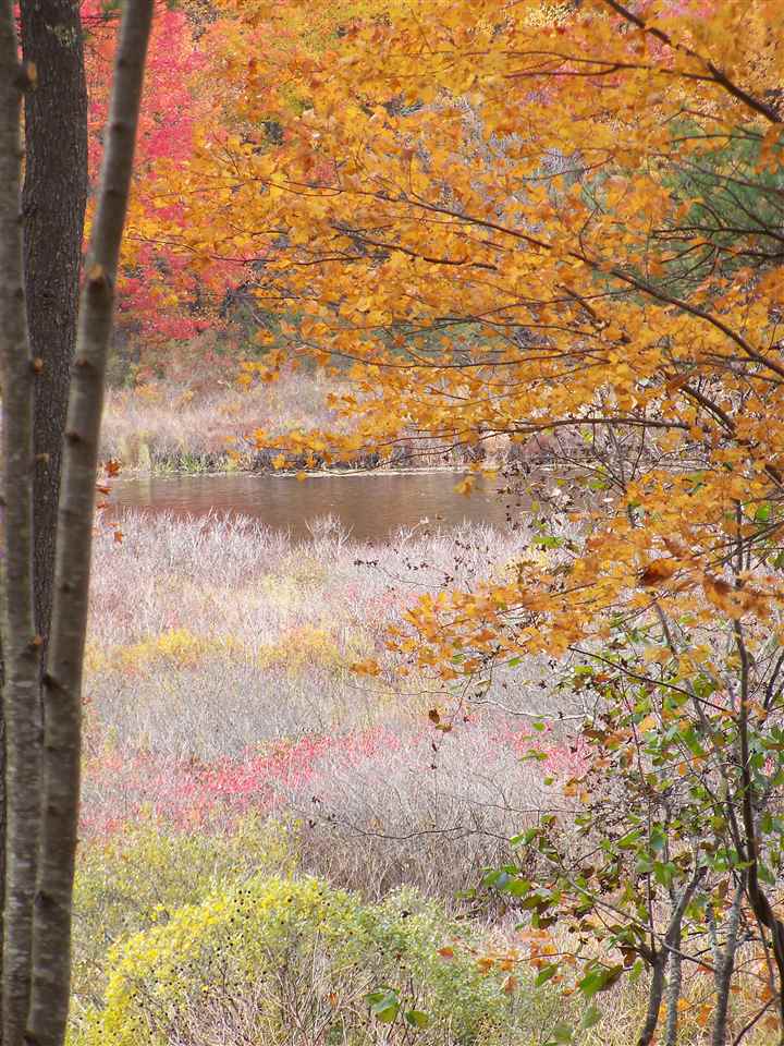 828 Berry River Road, Unit 52 Barrington, NH 03825 - Photo 16 of 17